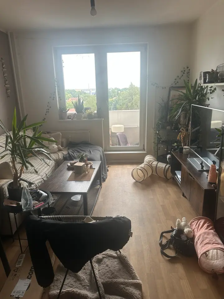 2 Zimmer Wohnung mit 45 m² in Delitzsch – Bild 1