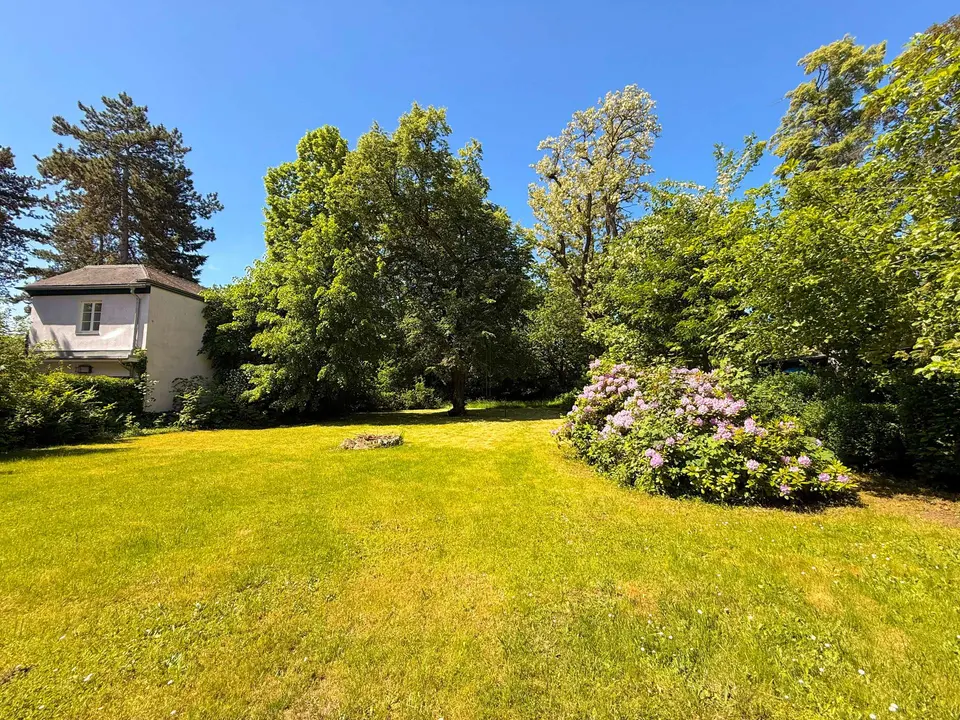 7 Zimmer Haus mit 308 m² in Grimma – Bild 4