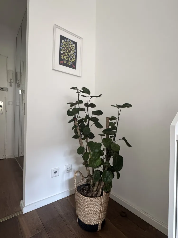 1 Zimmer Wohnung mit 30 m² in Düsseldorf – Bild 10