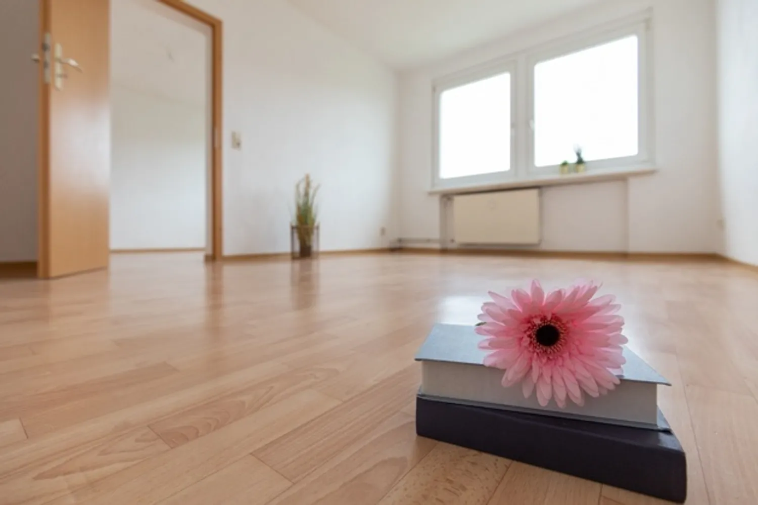 2 room apartment with 47 m² in Magdeburg – Photo 1