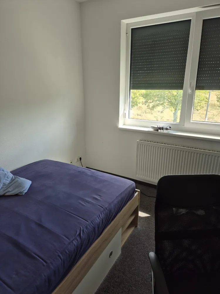 1 Zimmer Wohnung mit 18 m² in Torgau – Bild 2