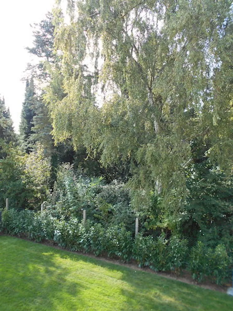 2 room apartment with 76 m² in Cologne – Photo 3