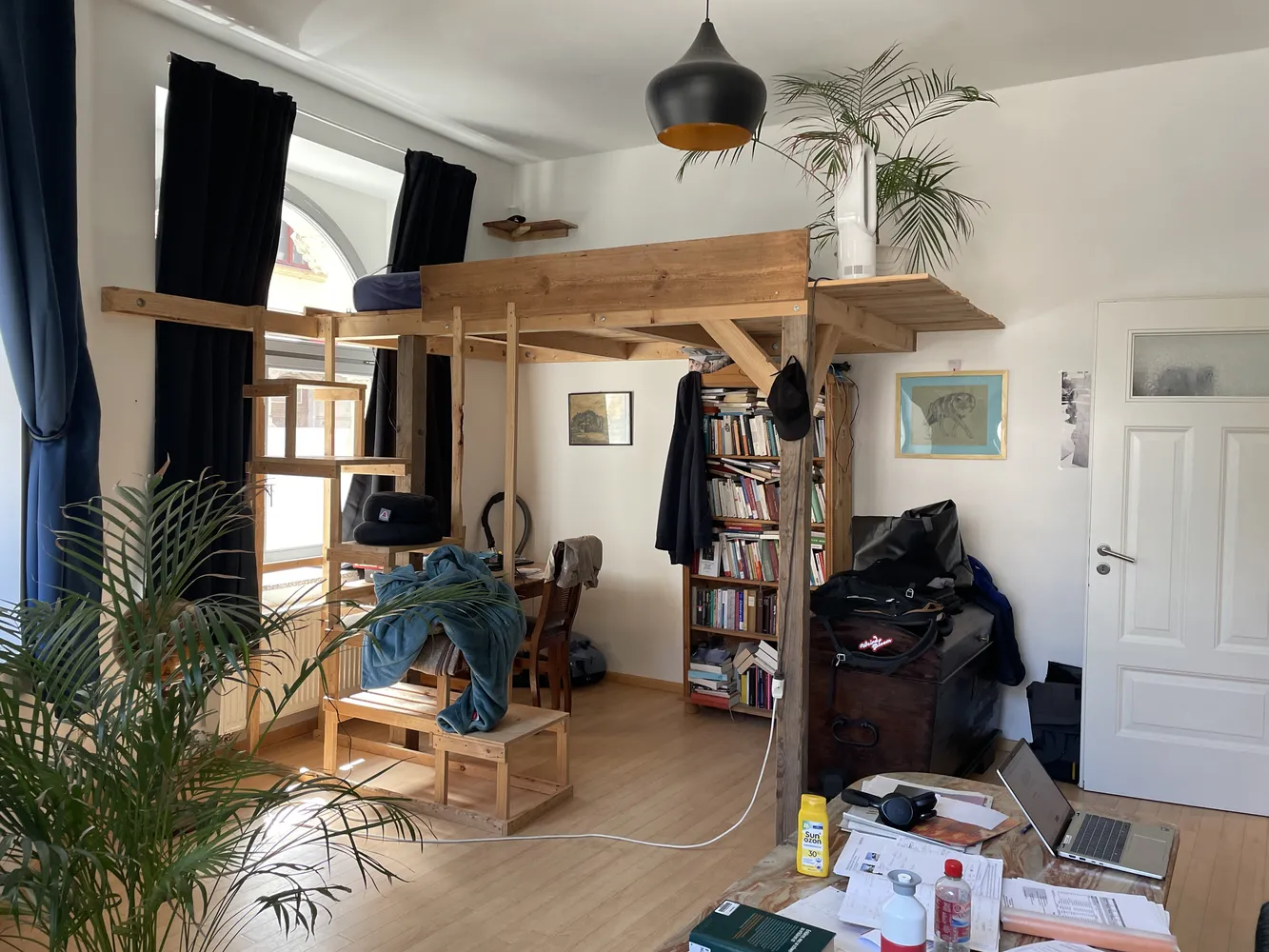 1 Zimmer Wohnung mit 43 m² in Dresden – Bild 2