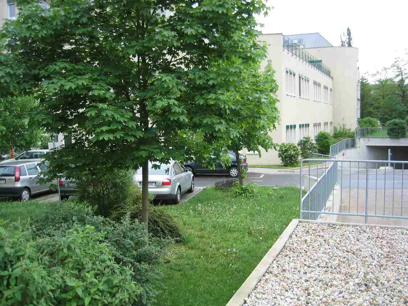 1 room apartment with 32 m² in Dresden – Photo 6