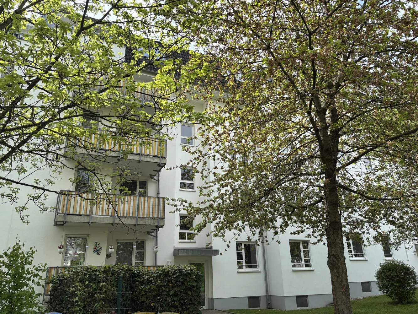 2 room apartment with 64 m² in Chemnitz – Photo 1