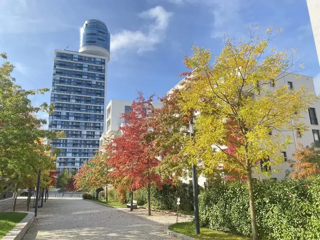 2 Zimmer Wohnung mit 78 m² in Frankfurt am Main – Bild 2