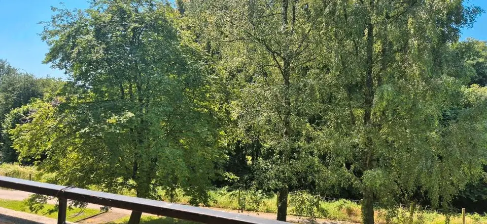 3 Zimmer Wohnung mit 82 m² in Recklinghausen – Bild 4