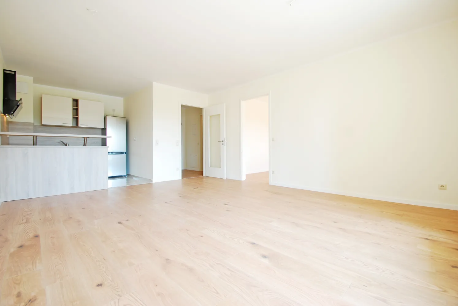 2 room apartment with 58 m² in Dresden – Photo 1