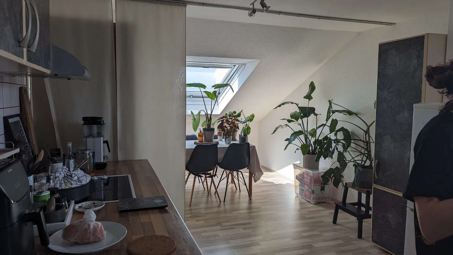 2 room apartment with 50 m² in Leverkusen – Photo 6