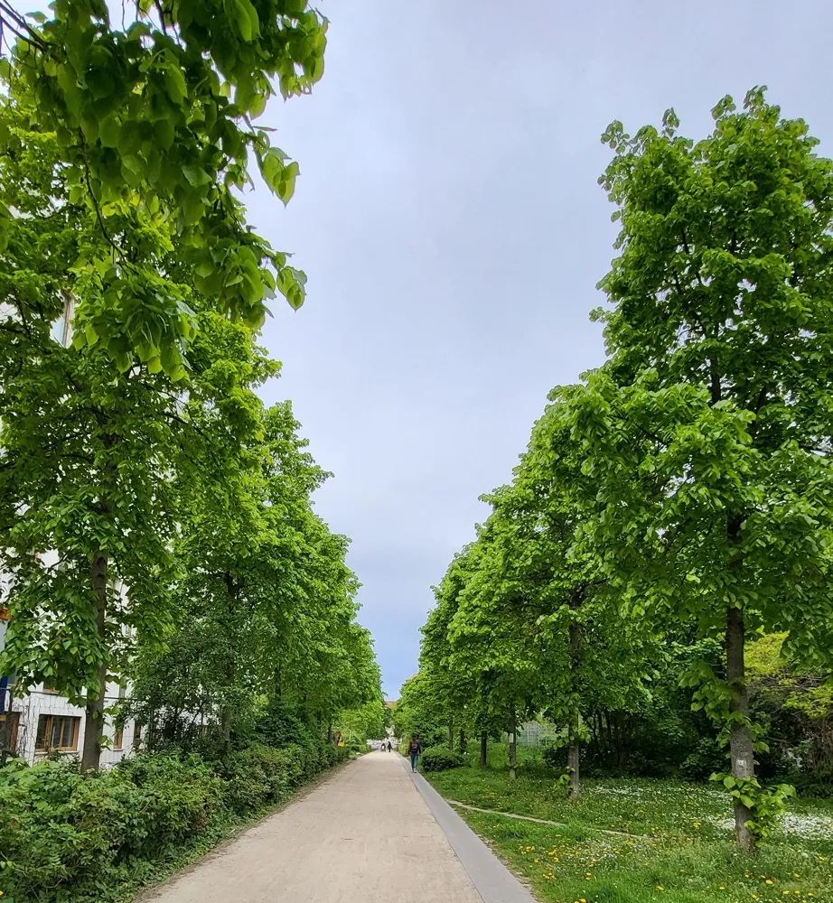 3 Zimmer Wohnung mit 81 m² in Leipzig – Bild 4