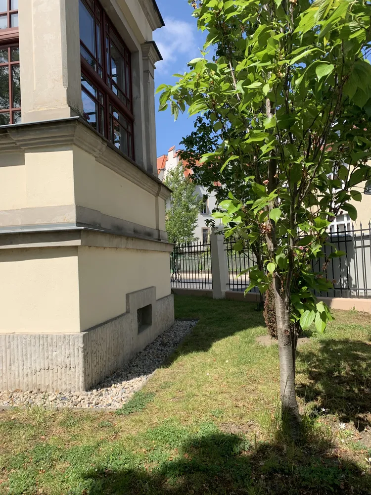 2 Zimmer Wohnung mit 52 m² in Dresden – Bild 6