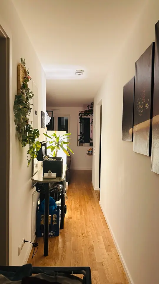 2 Zimmer Wohnung mit 47 m² in Dresden – Bild 8