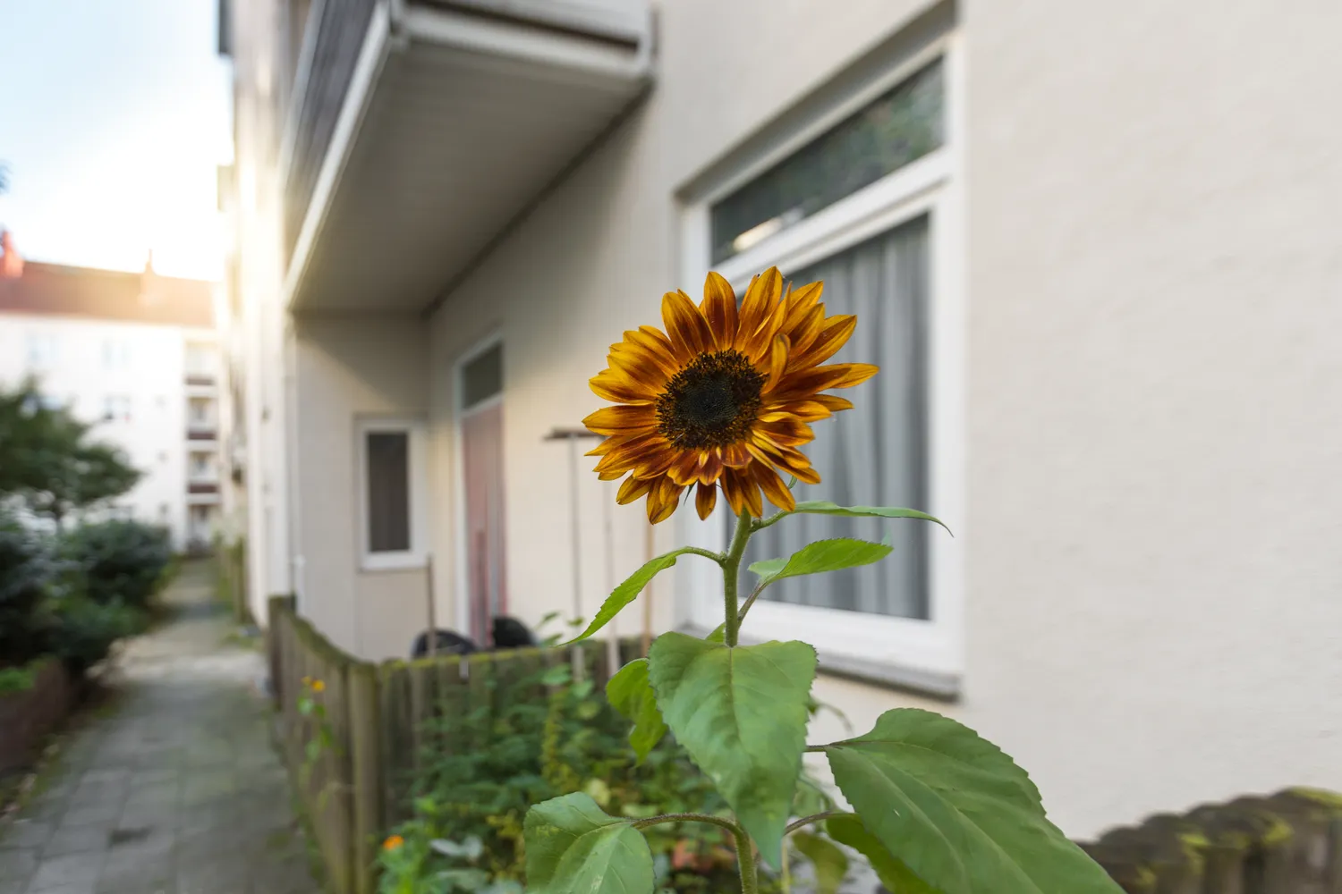 3 Zimmer Wohnung mit 73 m² in Bremerhaven – Bild 6