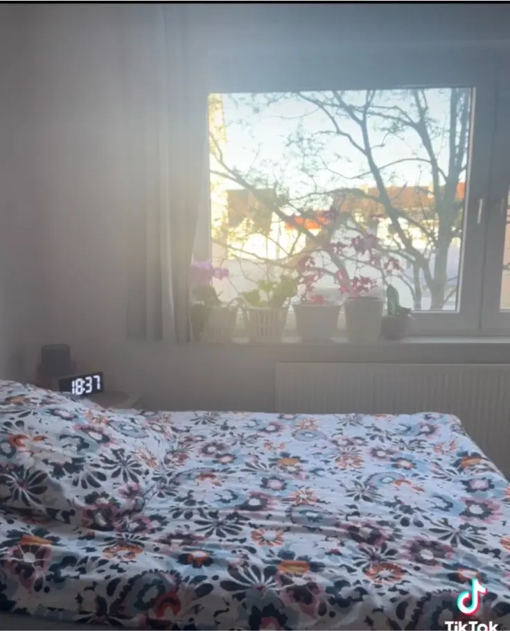 Studio mit 29 m² in Braunschweig – Bild 3