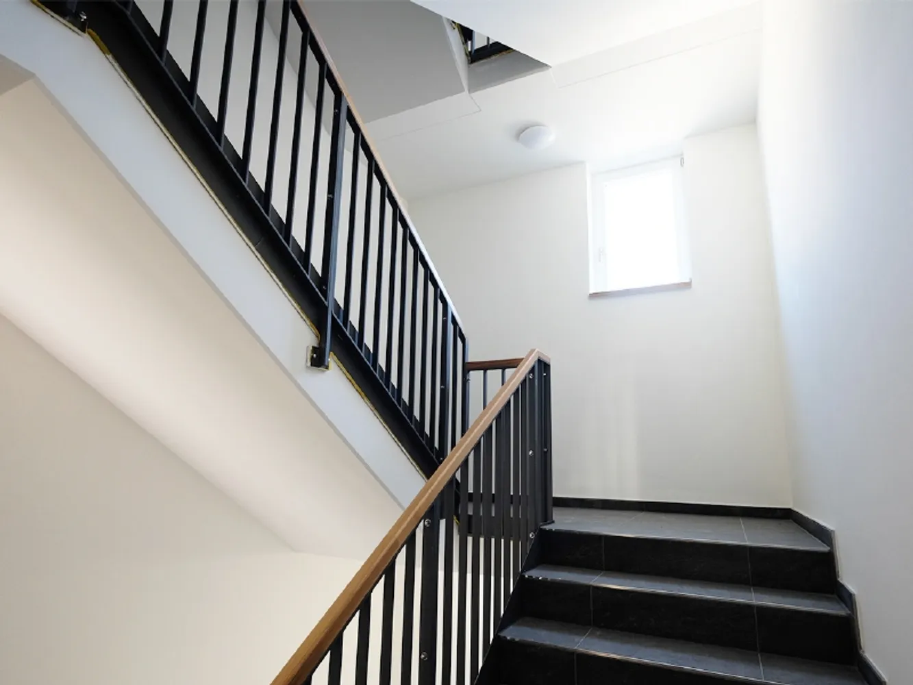 3 Zimmer Wohnung mit 109 m² in Dresden – Bild 10