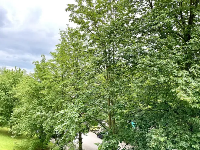 2 room apartment with 41 m² in Chemnitz – Photo 10