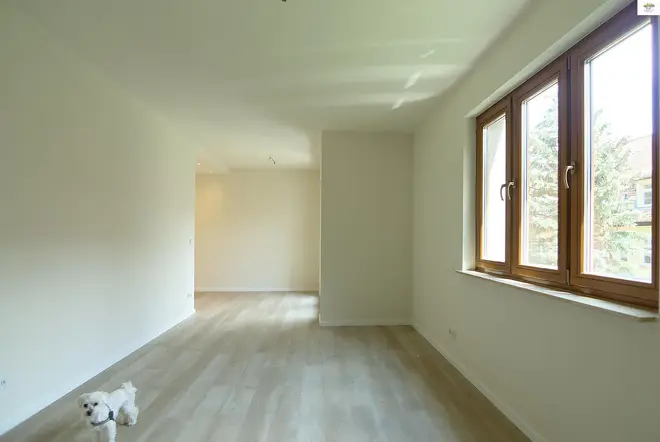 2 Zimmer Wohnung mit 50 m² in Dresden – Bild 5