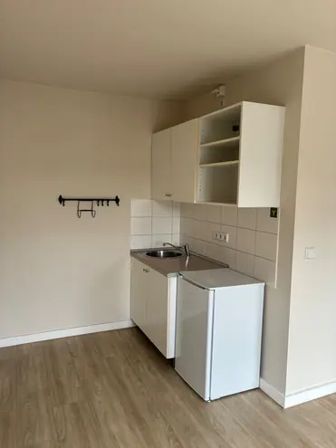 1 room apartment with 24 m² in Dresden – Photo 3