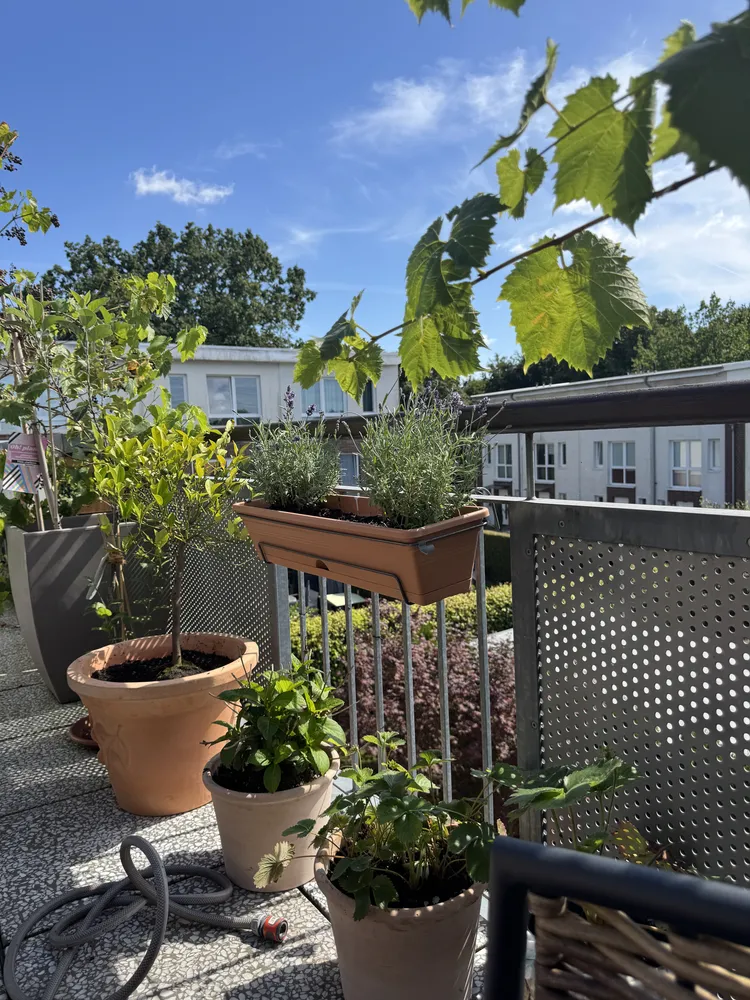 2 Zimmer Wohnung mit 74 m² in Norderstedt – Bild 4
