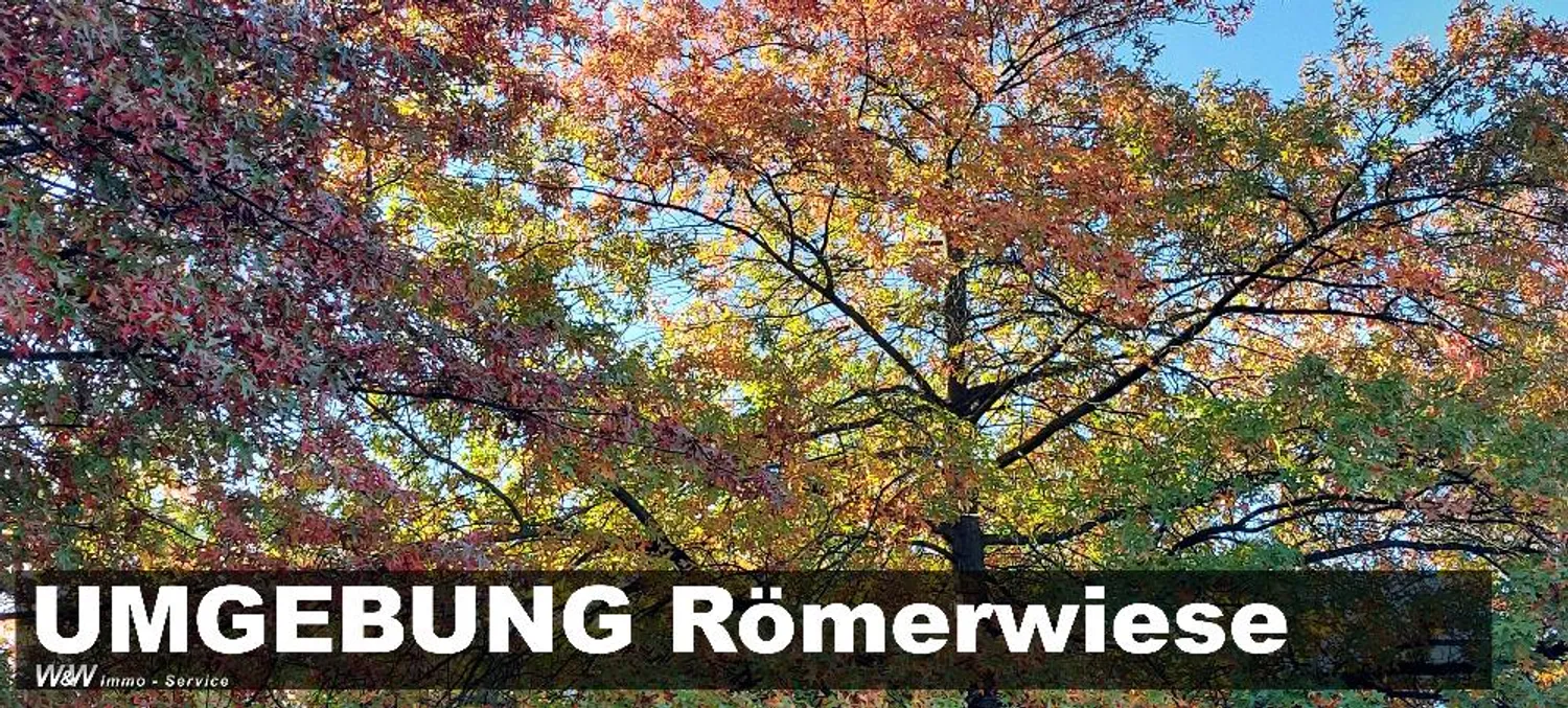 2 Zimmer Wohnung mit 74 m² in Zwickau – Bild 2