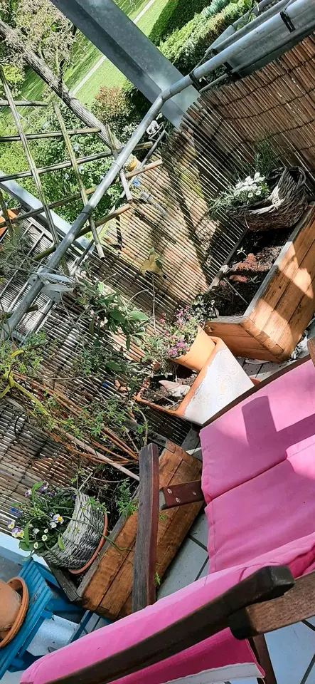 2 Zimmer Wohnung mit 16 m² in Freiburg im Breisgau – Bild 6