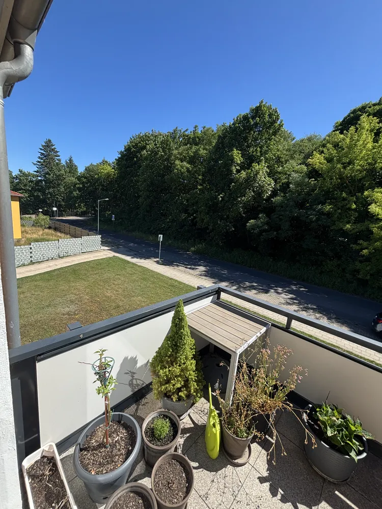 3 Zimmer Wohnung mit 56 m² in Frankfurt (Oder) – Bild 4
