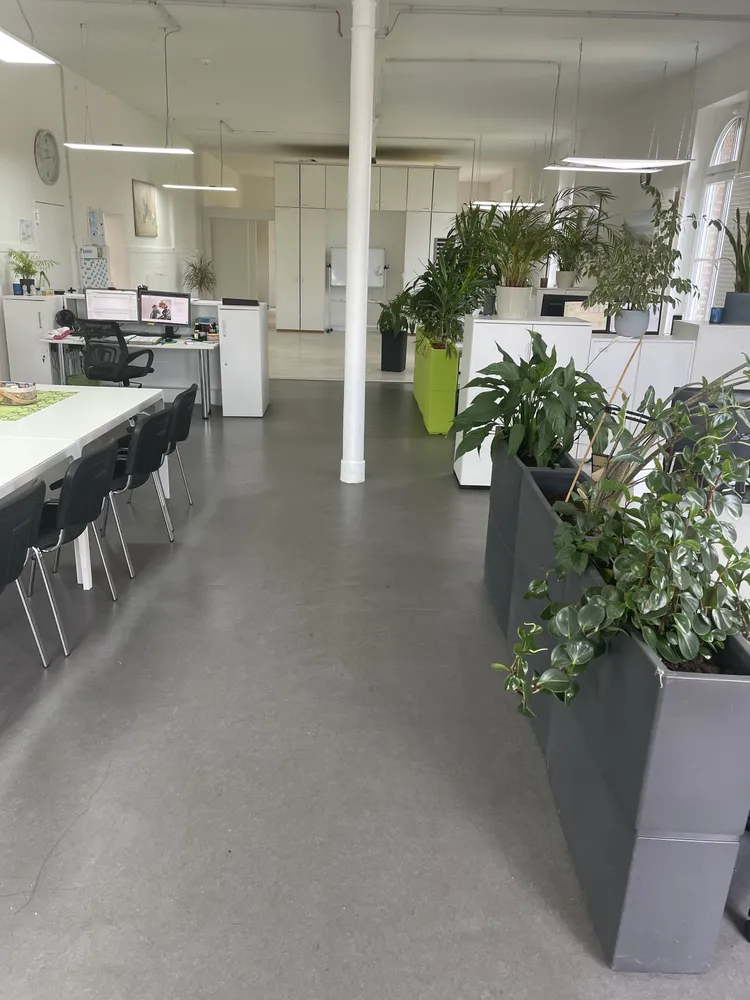 2 Zimmer Wohnung mit 233 m² in Viersen – Bild 1