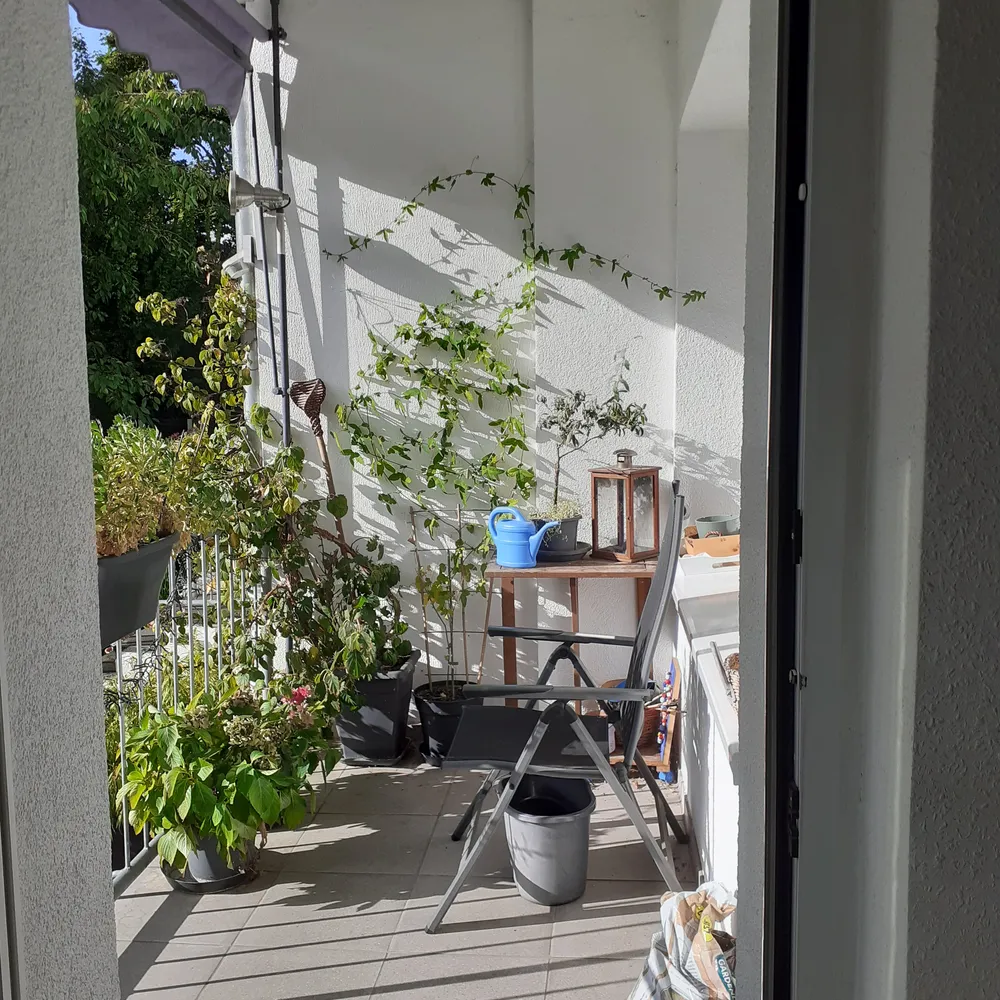 2 Zimmer Wohnung mit 67 m² in Krefeld – Bild 1