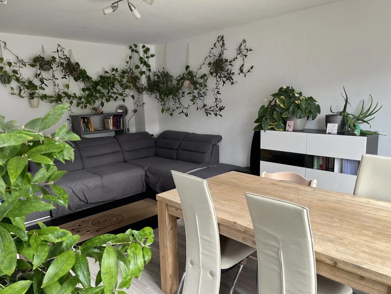 3 Zimmer Wohnung mit 64 m² in Braunschweig – Bild 1