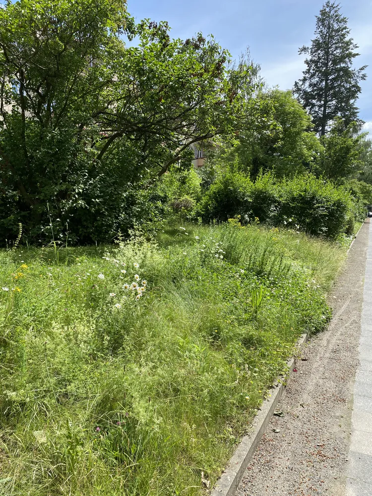 2 Zimmer Wohnung mit 56 m² in Berlin – Bild 3