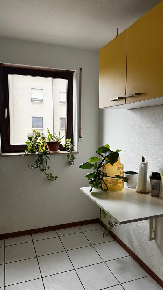 2 Zimmer Wohnung mit 65 m² in Mannheim – Bild 2
