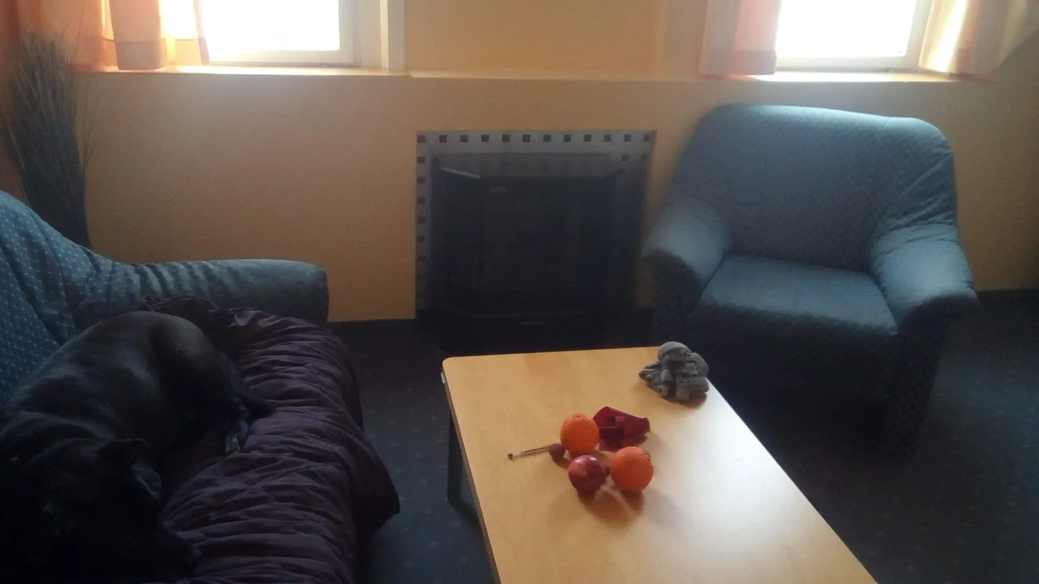 1 Zimmer Wohnung mit 29 m² in Freiburg im Breisgau – Bild 3