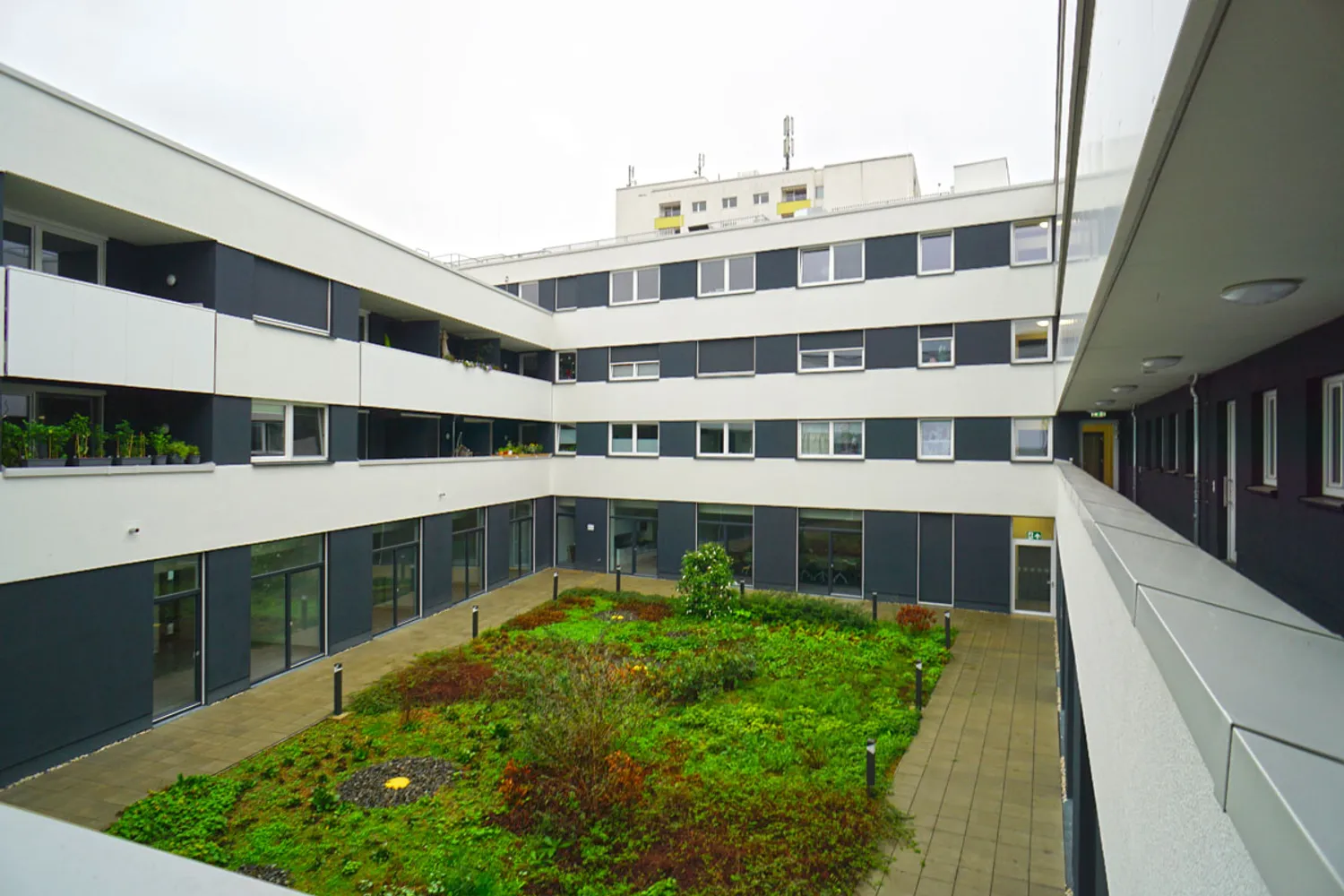 3 room apartment with 76 m² in Dresden – Photo 5