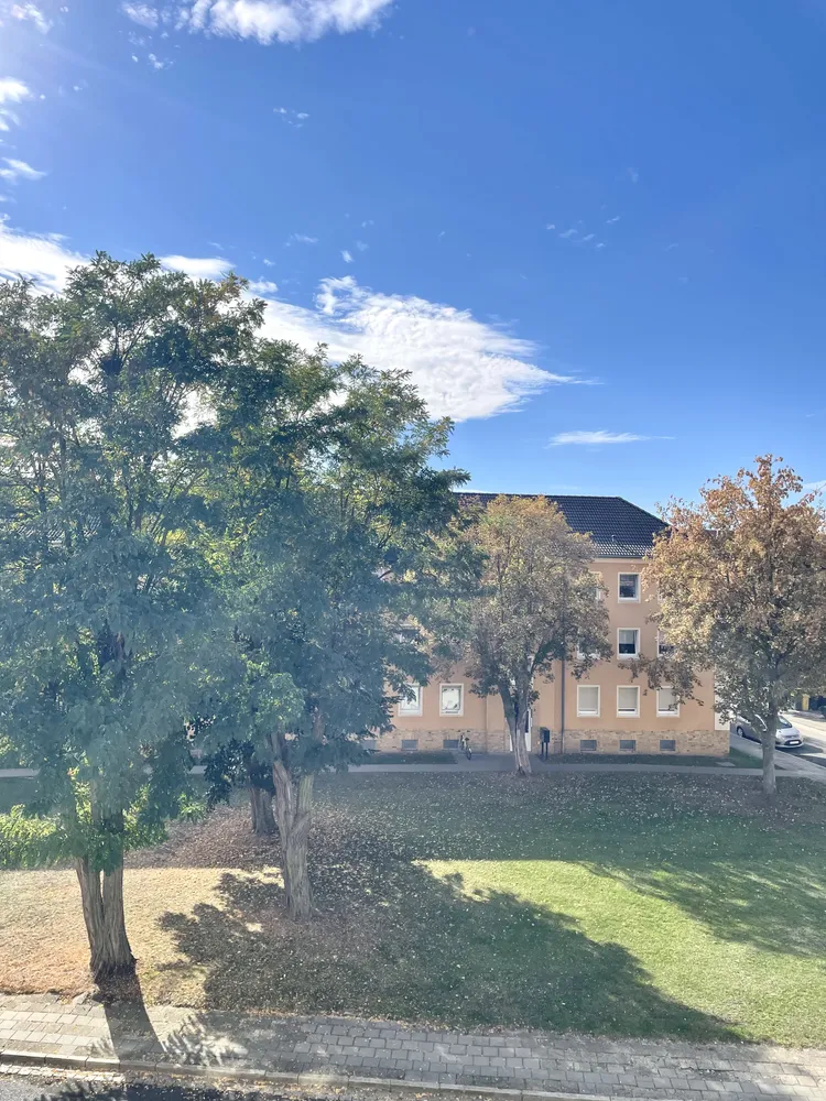 2 room apartment with 51 m² in Bitterfeld-Wolfen – Photo 3