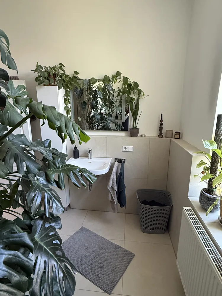 2 Zimmer Wohnung mit 55 m² in Wiesbaden – Bild 7