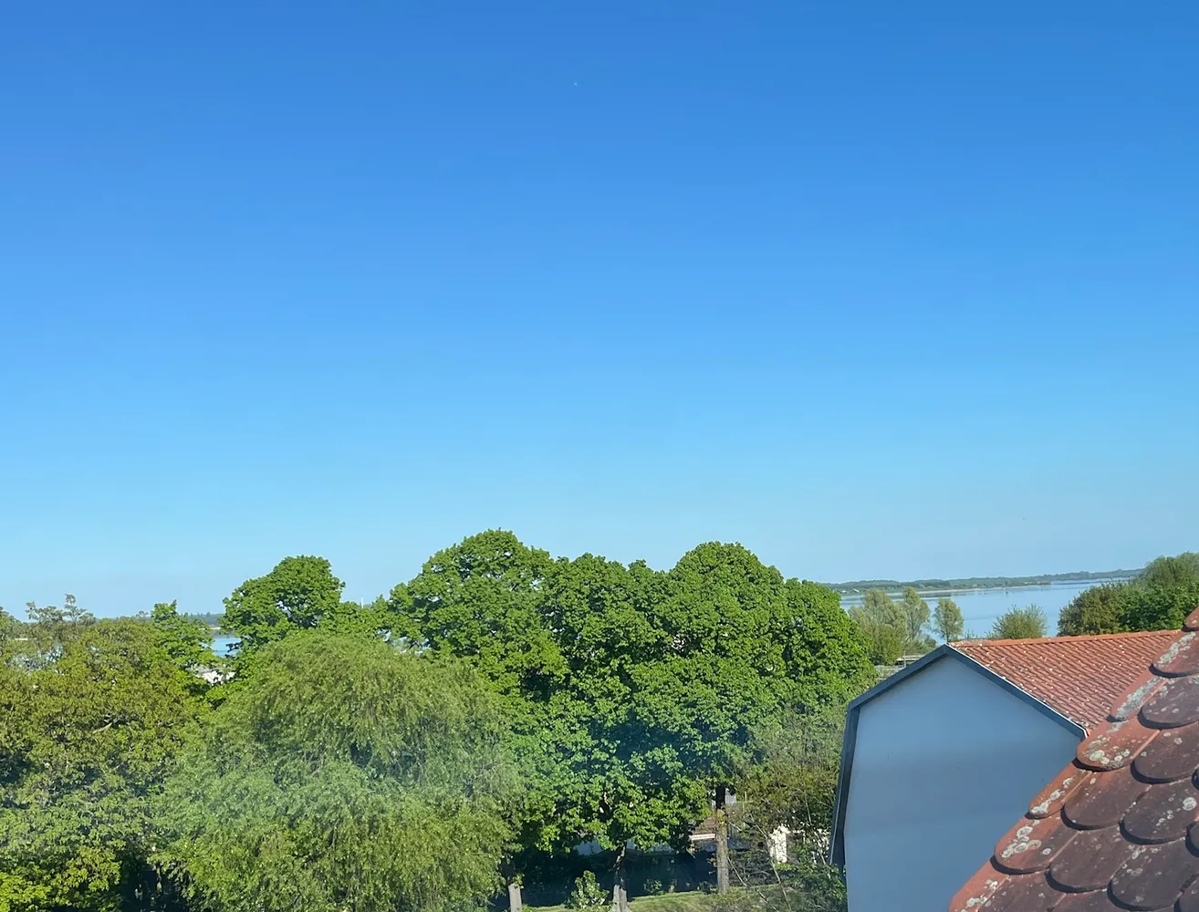 3 room apartment with 75 m² in Bitterfeld-Wolfen – Photo 7
