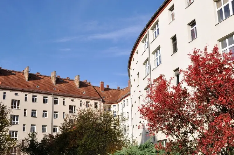 2 Zimmer Wohnung mit 54 m² in Dresden – Bild 5