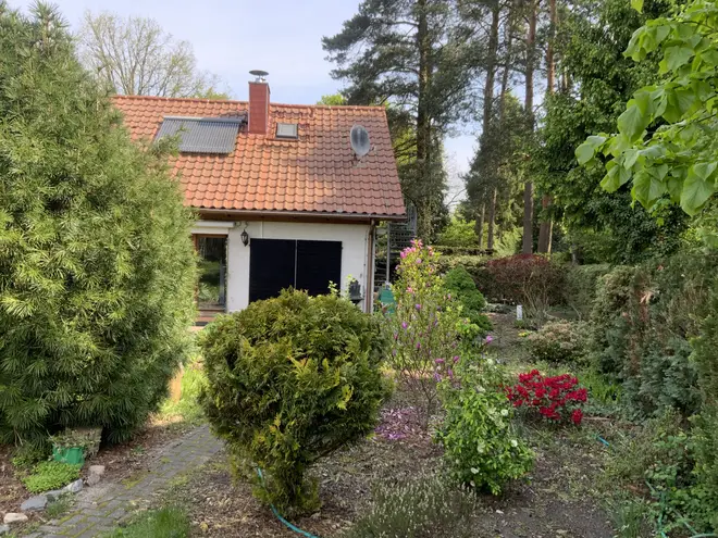3 Zimmer Haus mit 100 m² in Wittenberg – Bild 3