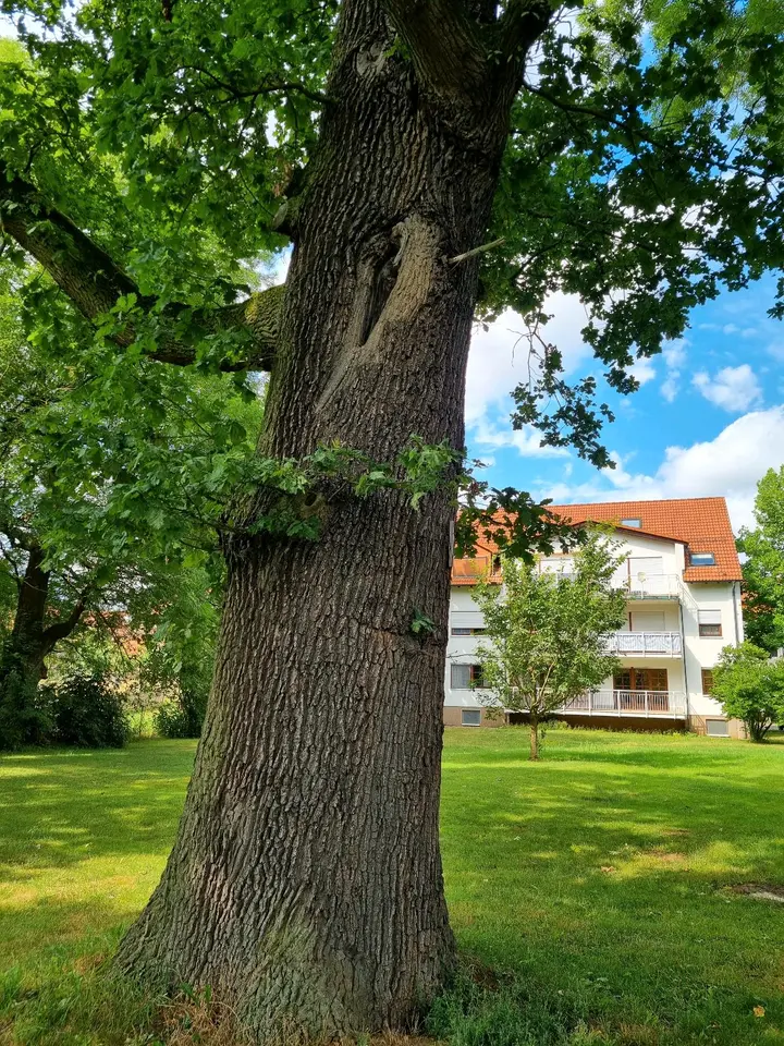 2 room apartment with 62 m² in Eisenach – Photo 7