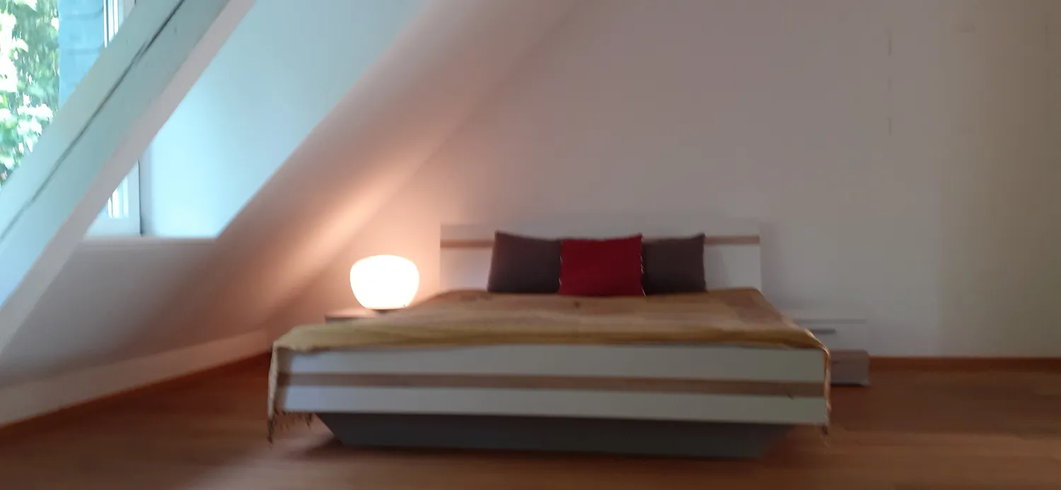 1 room apartment with 67 m² in Mannheim – Photo 7