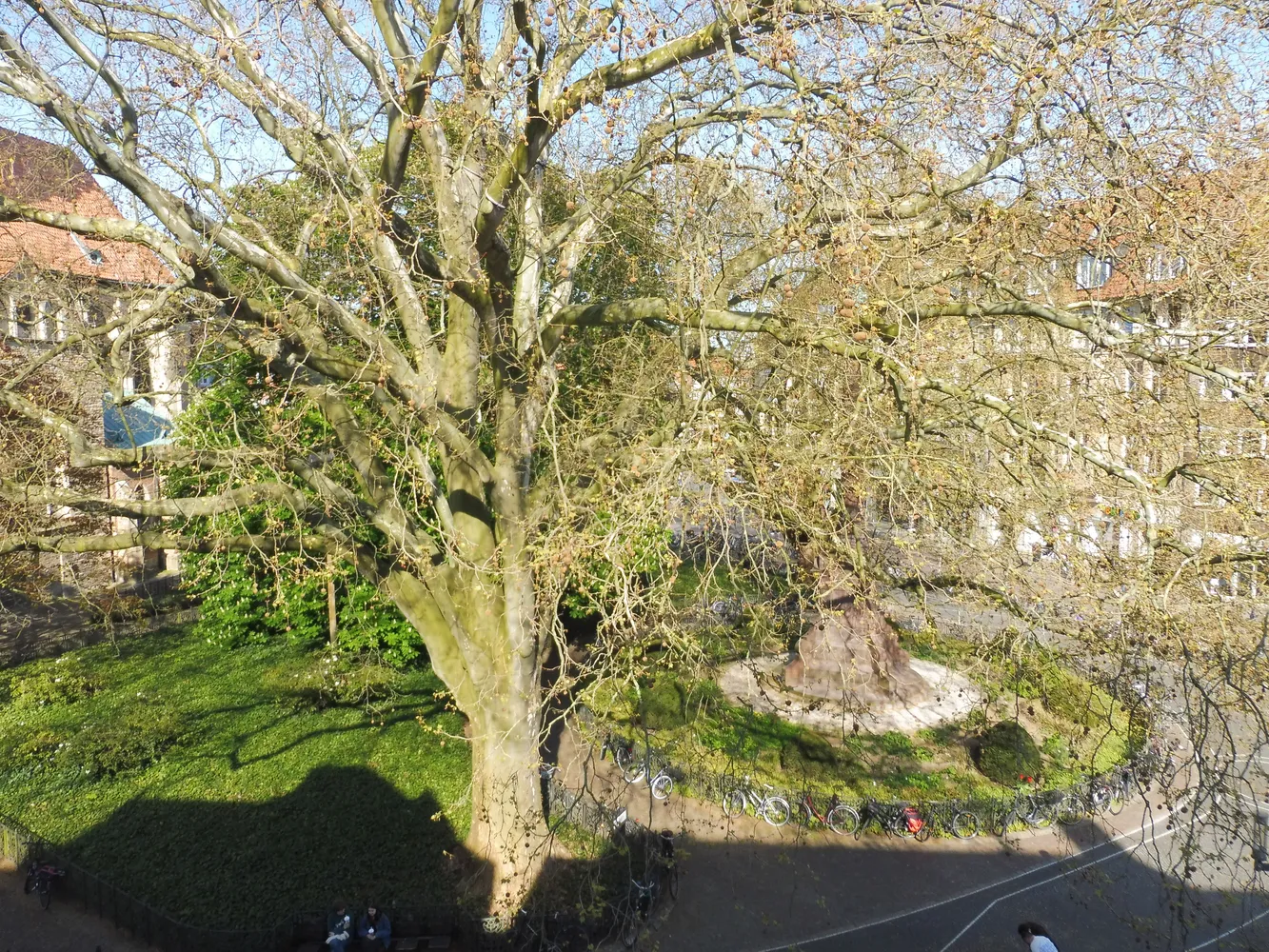 1 Zimmer Wohnung mit 29 m² in Münster – Bild 2