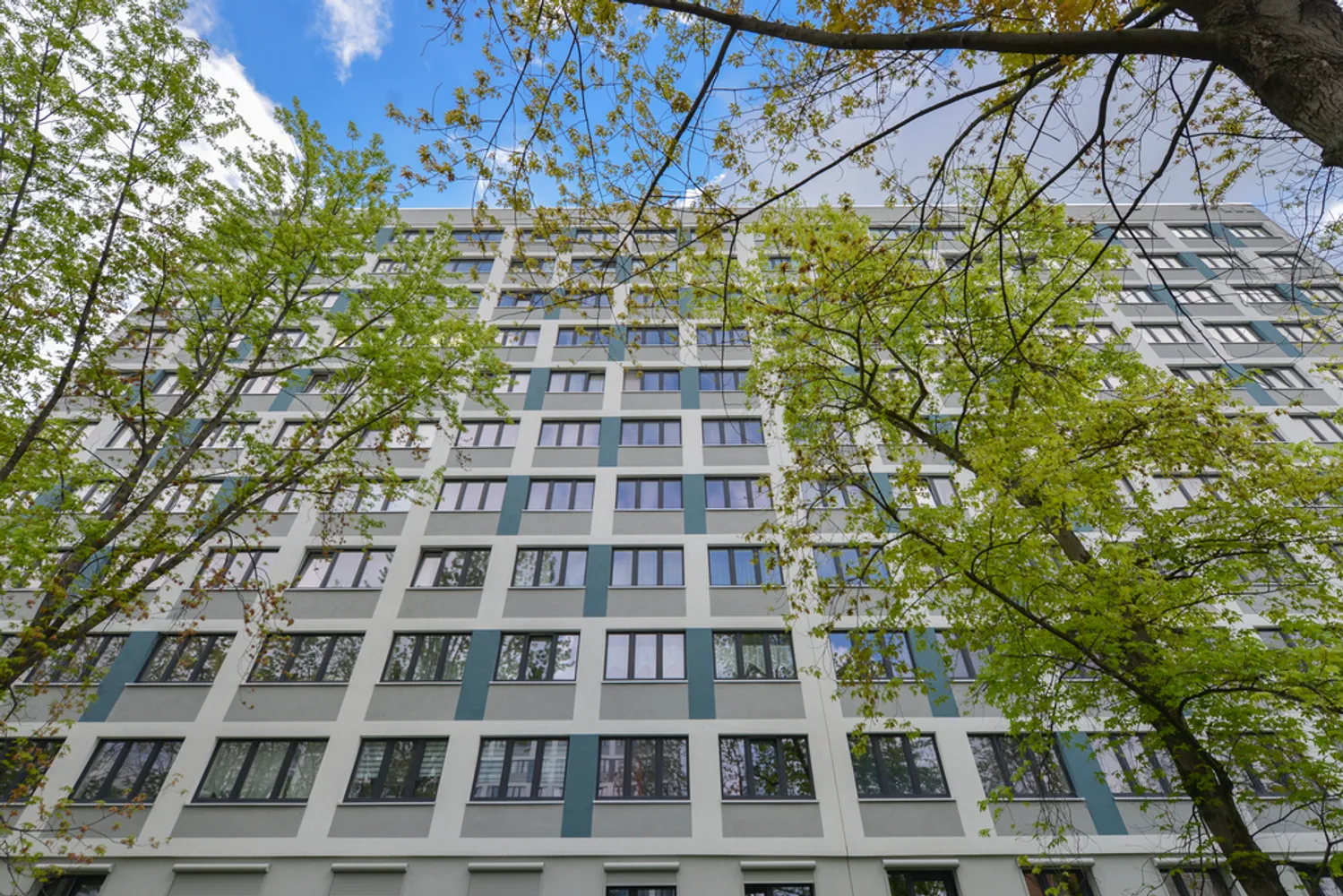 3 Zimmer Wohnung mit 57 m² in Halle (Saale) – Bild 3