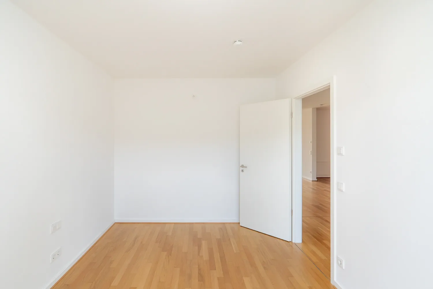 2 room apartment with 61 m² in Dresden – Photo 4