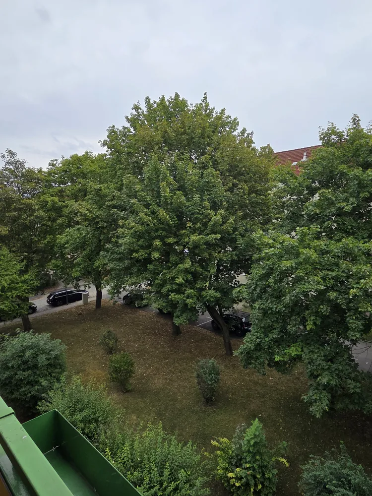 3 room apartment with 60 m² in Gotha – Photo 3