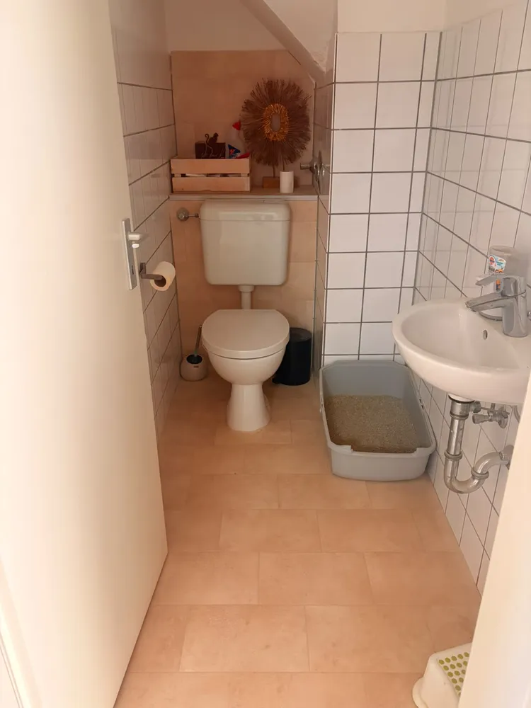 5 Zimmer Wohnung mit 94 m² in Gelsenkirchen – Bild 3