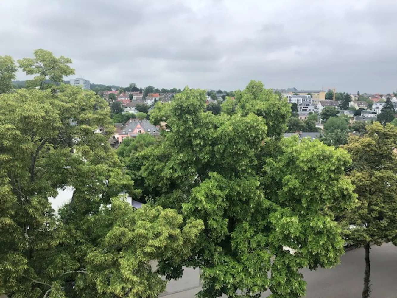 1 Zimmer Wohnung mit 30 m² in Wiesbaden – Bild 12