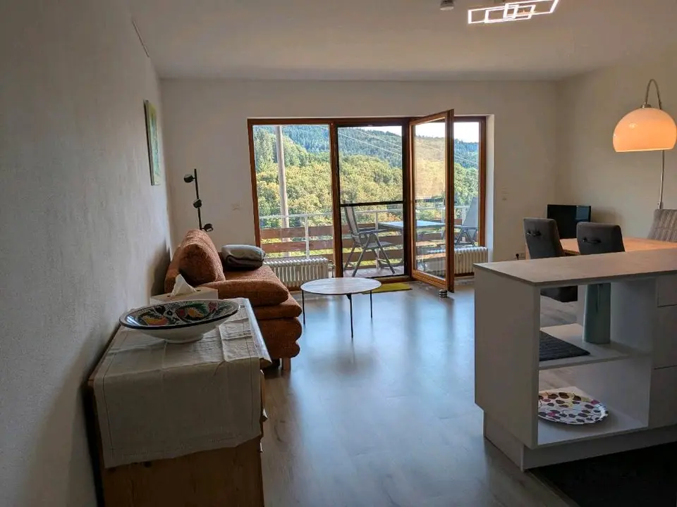 WG-Zimmer mit 50 m² in Lahr/Schwarzwald – Bild 1