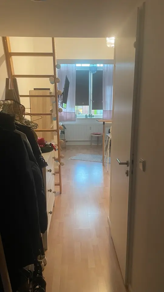 2 Zimmer Wohnung mit 25 m² in Greifswald – Bild 3
