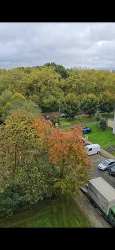 2 Zimmer Wohnung mit 55 m² in Essen – Bild 12