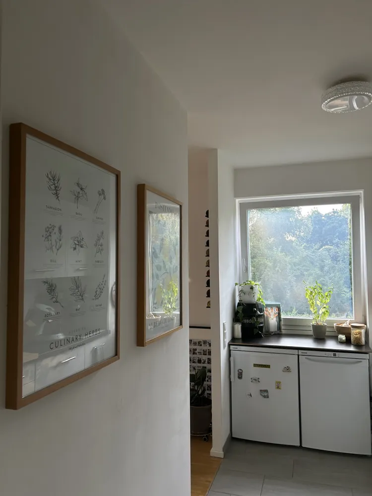 2 room apartment with 61 m² in Bonn – Photo 12